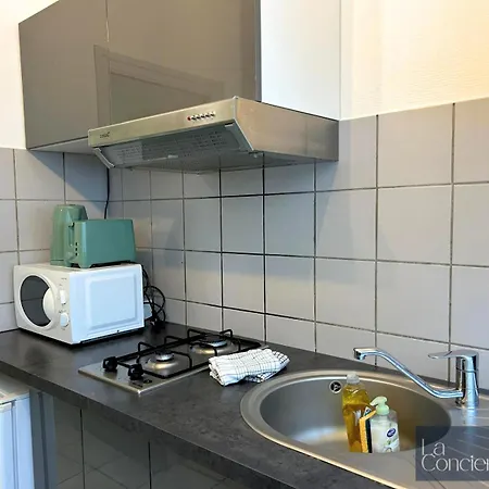 Le Carmelite - Futuroscope - Proche Gare - Laconciergerie * Poitiers