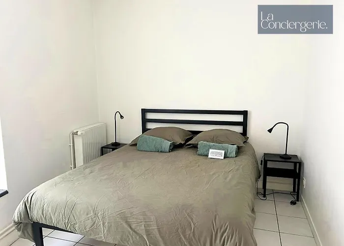 Le Carmelite - Futuroscope - Proche Gare - Laconciergerie