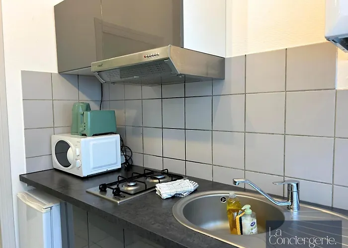 Le Carmelite - Futuroscope - Proche Gare - Laconciergerie * Poitiers